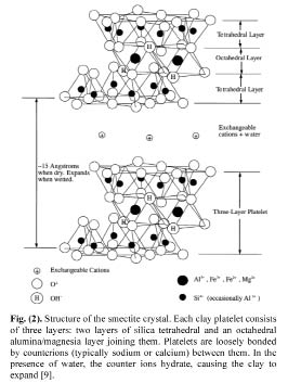 FIG-02.psd